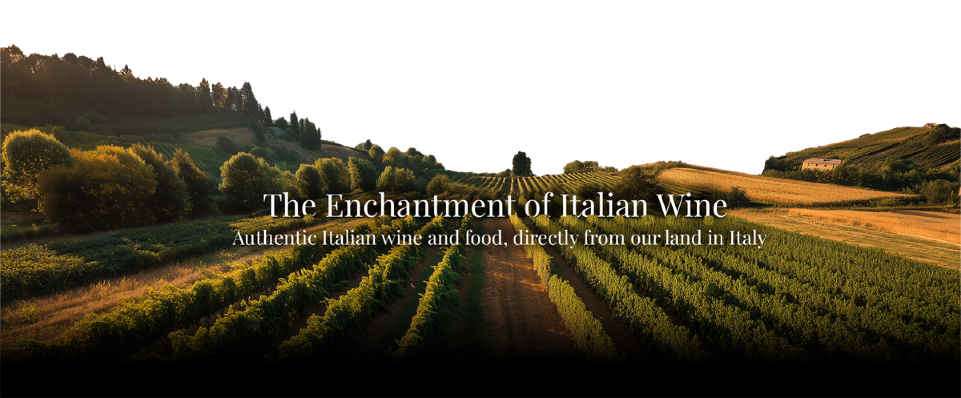 Header-Tenuta-KV-3-Text-5